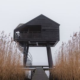 A wooden shed in the distance
